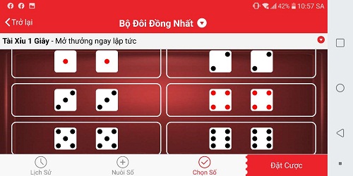 cuoc-bo-doi-dong-nhat